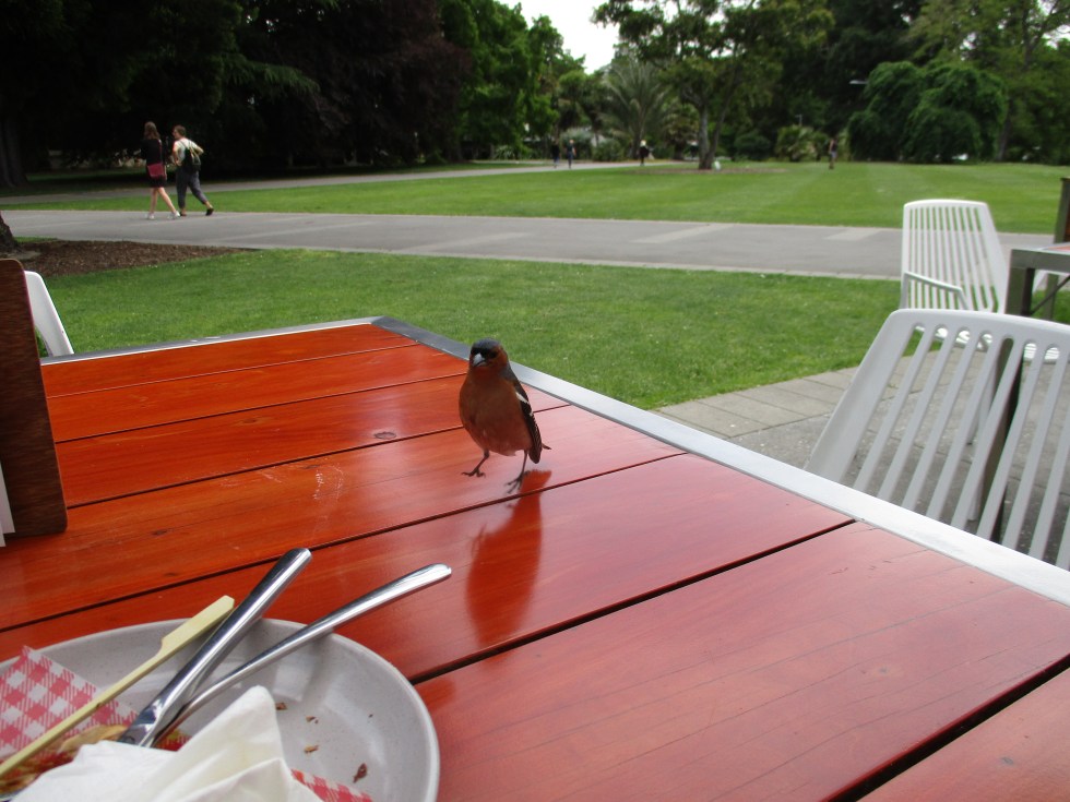 He looks innocent enough.