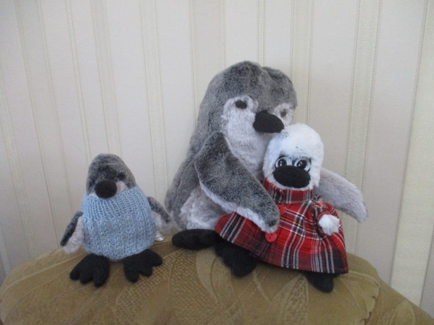 A Portrait in Penguins: Willow in the Blue Sweater, Cinnamon in the middle, and Persimmon in Plaid.