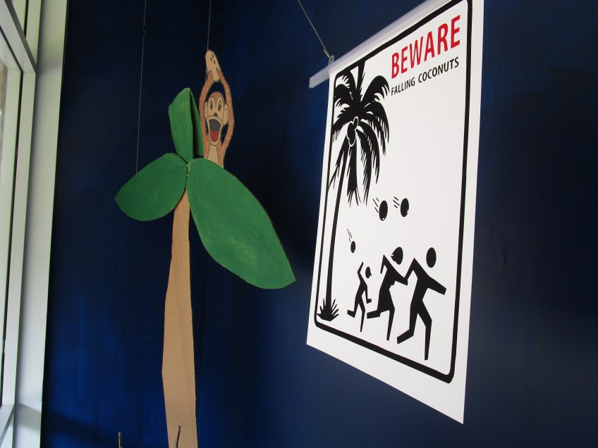 Monkey throwing coconut