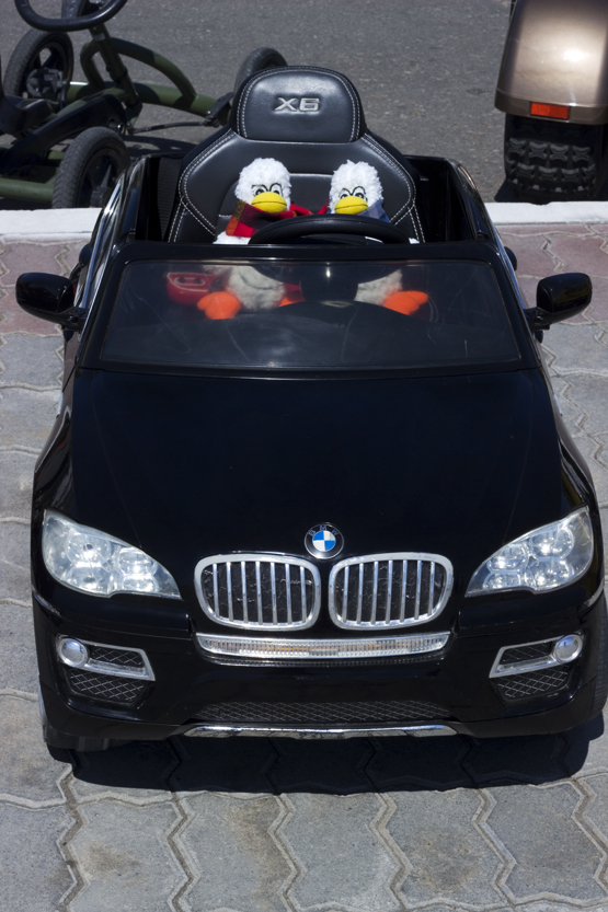 Paul and Paula in a car