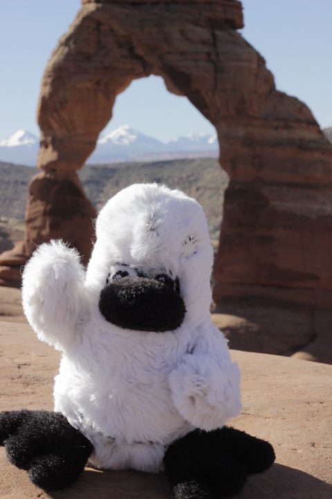 Patch at Delicate Arch