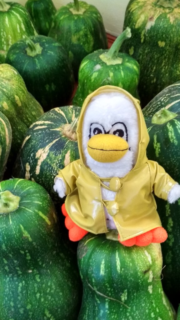 Penny Penguin and the Pumpkins