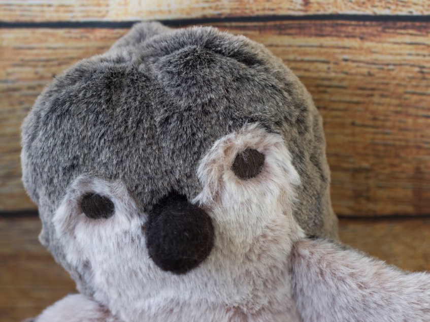 Cinnamon Penguin is curious