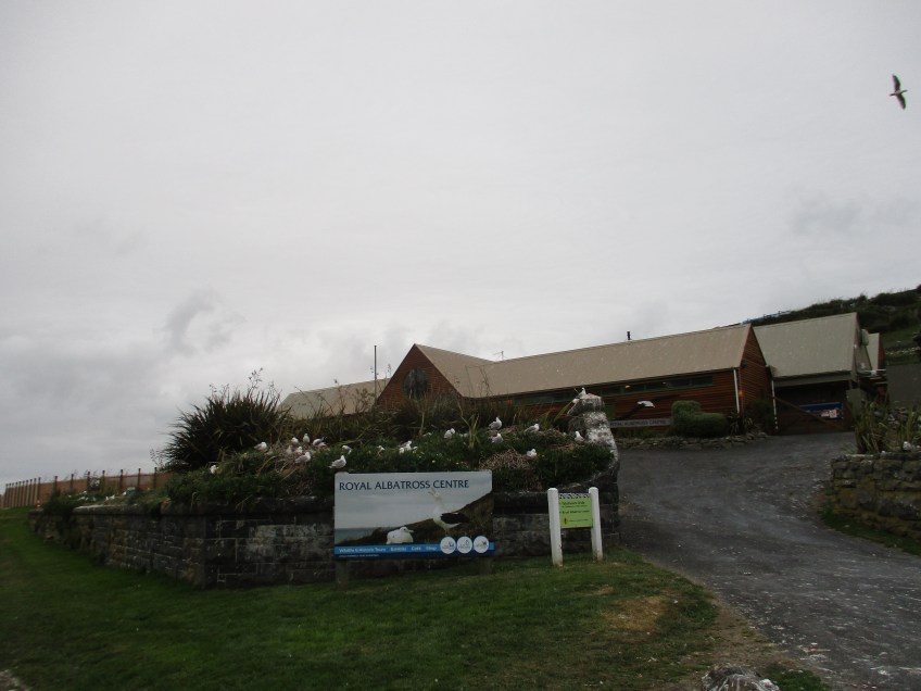 Royal Albatross Centre, Dunedin, New Zealand