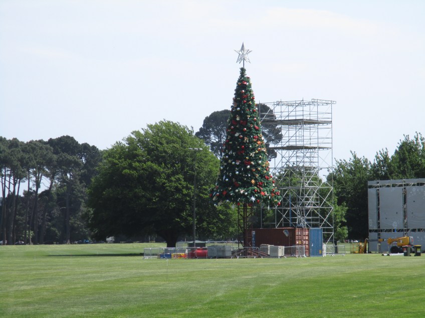 Christmas Tree Christchurch