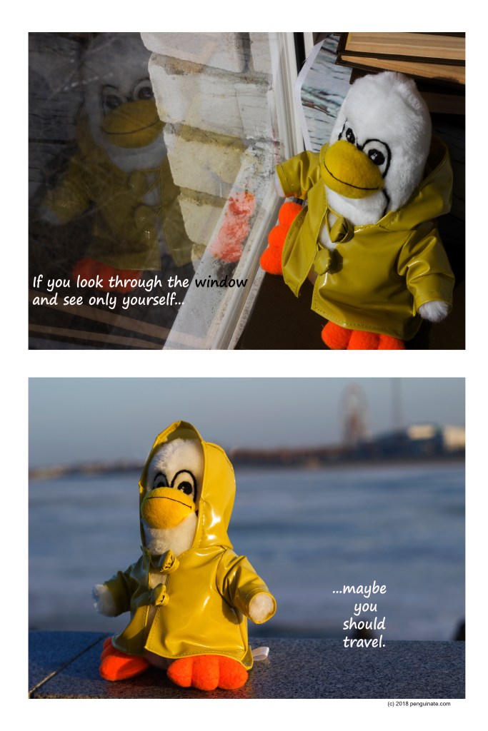 Penny Penguin and travel