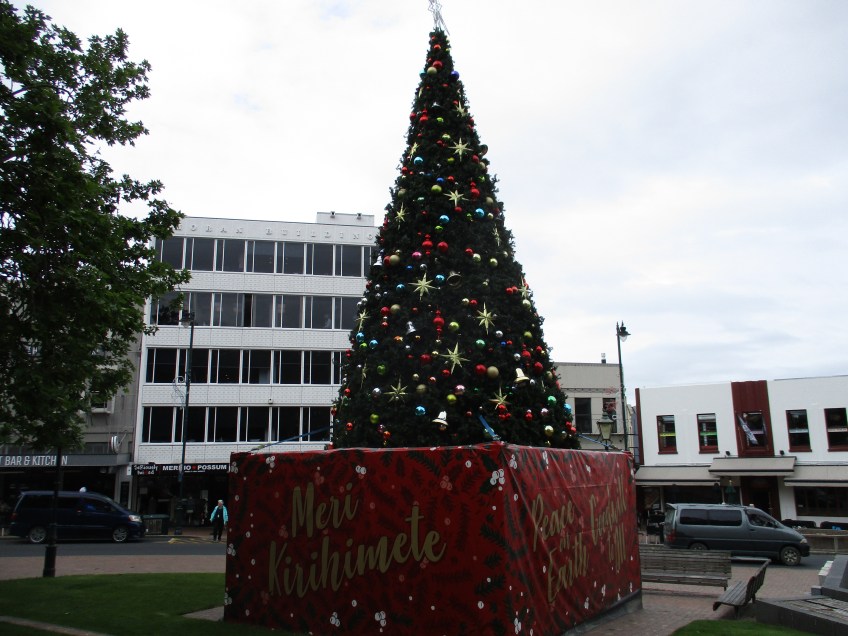 Christmas Greetings and tree in Dunedin