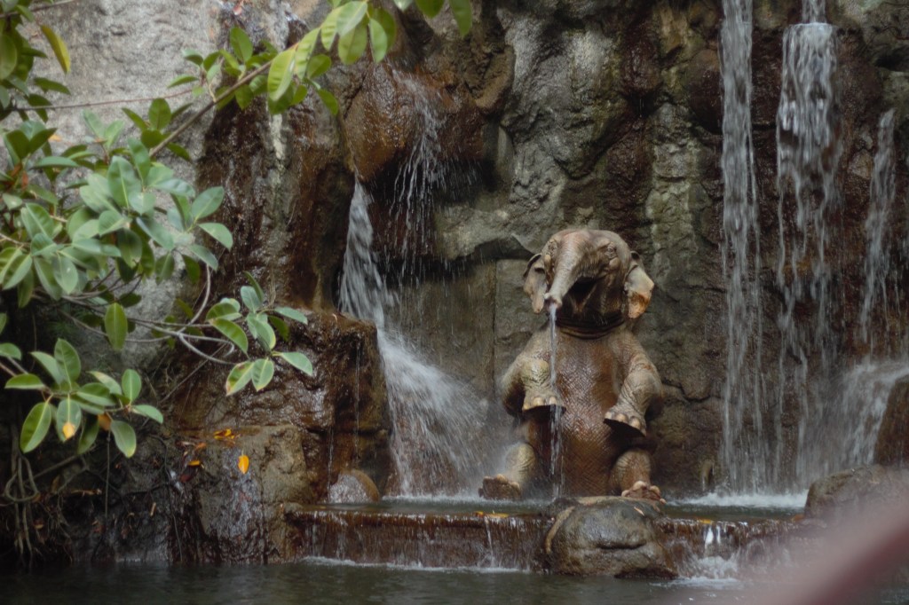 Bertha in the Elephant Bathing Pool