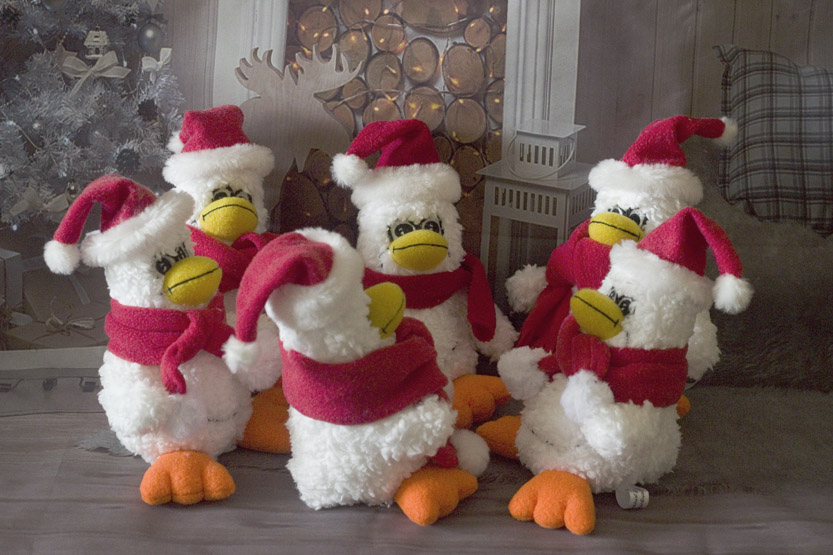 Six Christmas Penguins