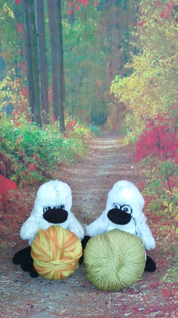 Patch and Pear having a ball in fall.