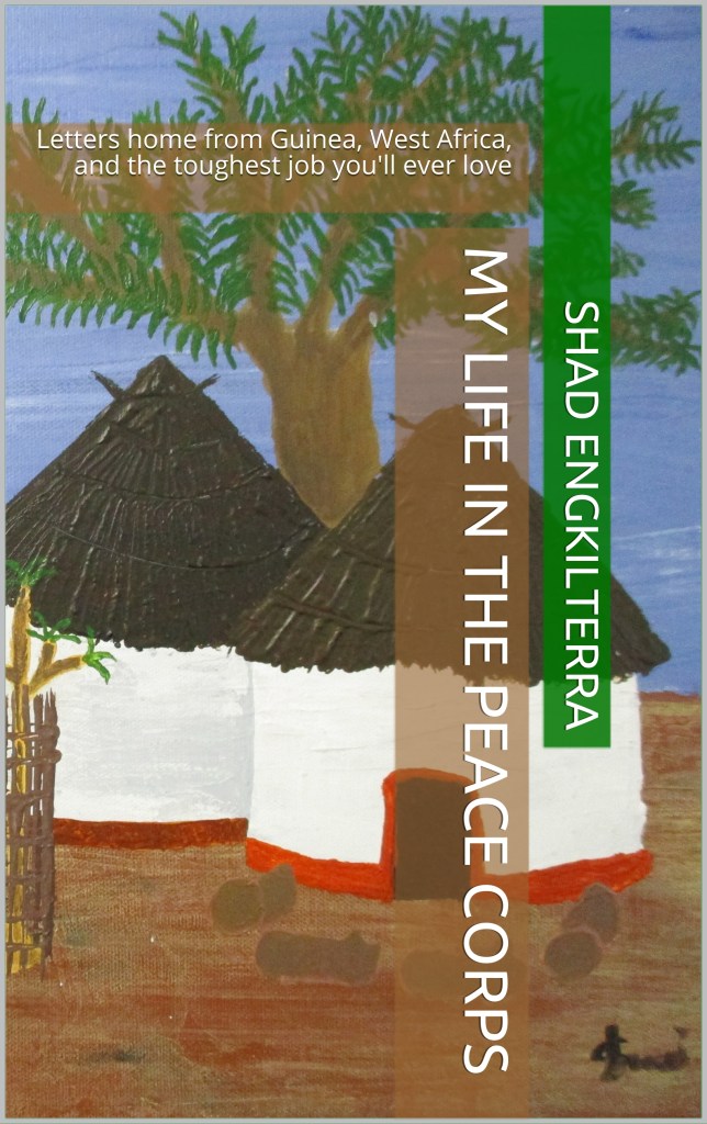 My Life in the Peace Corps Book cover