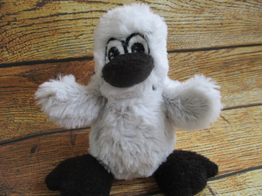 penguin ready for a hug