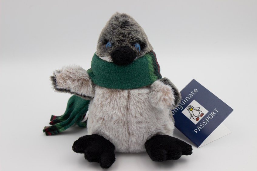 A gray plush penguin chick in a green scarf.