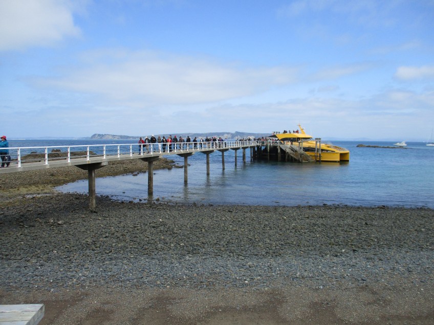 Tirtiri Matangi Ferry docked at the island
