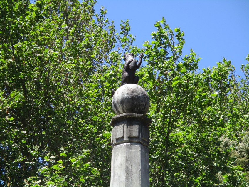 The Cat who Played with the Sun, Auckland, Wintergardens