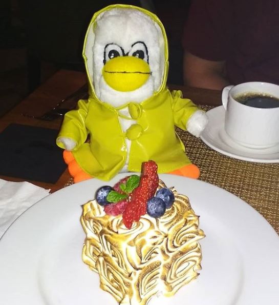 Penny Penguin enjoys baked Alaska