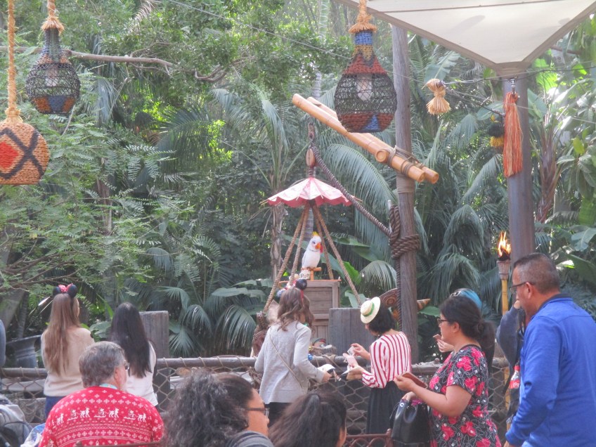 Rosita at the Tropical Hideaway, Disneyland